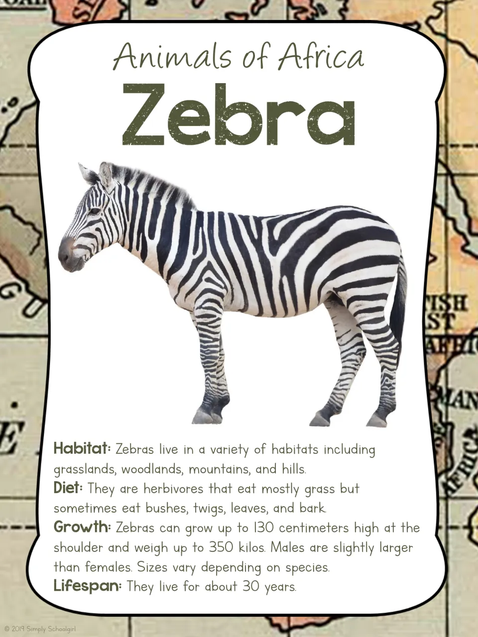 Zebra card front pairs a full-body zebra photograph with facts about habitat, diet, growth, and lifespan