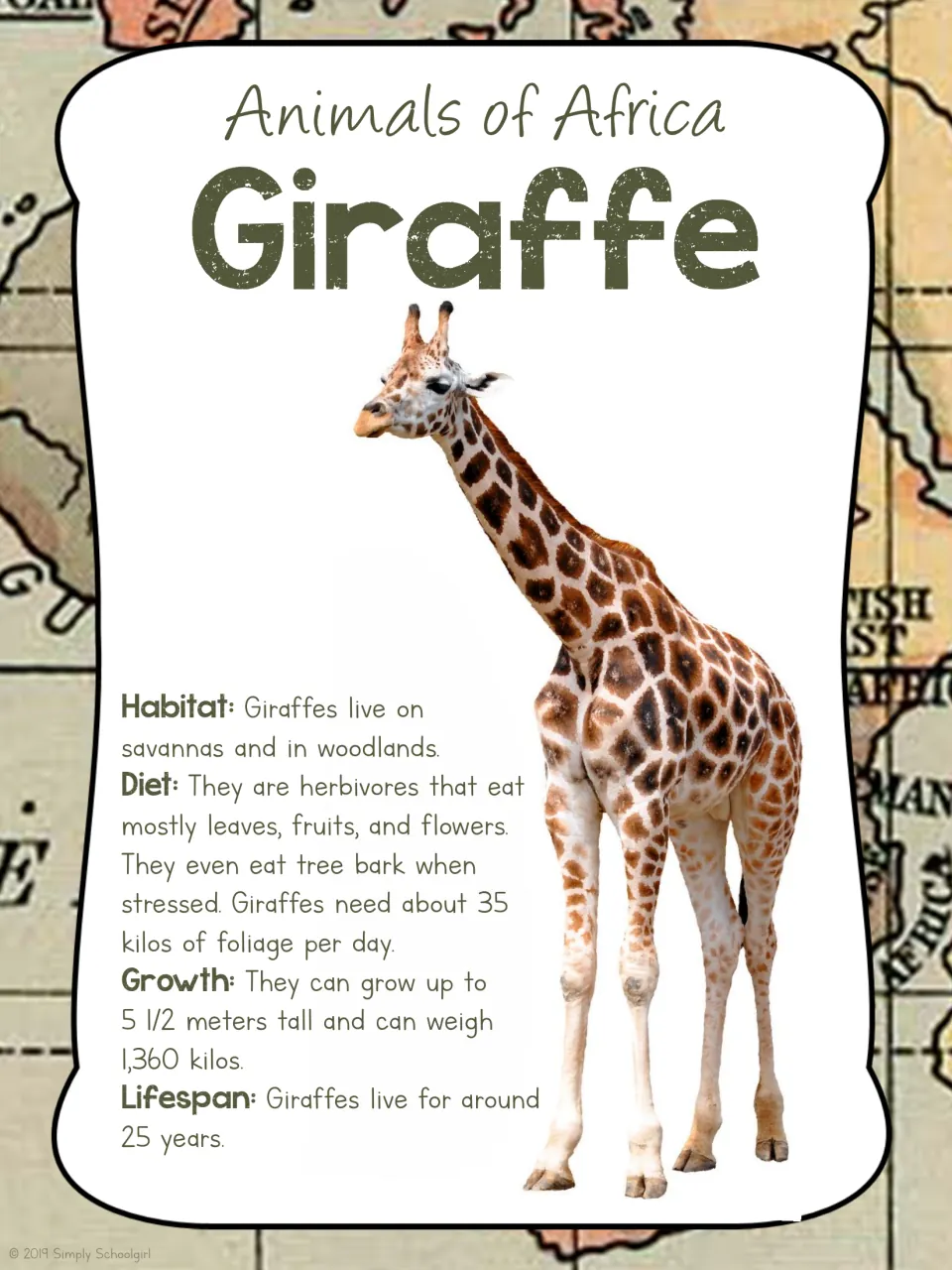 Giraffe card front pairs a giraffe photograph with habitat, plant diet, height up to 5.5 meters, and lifespan