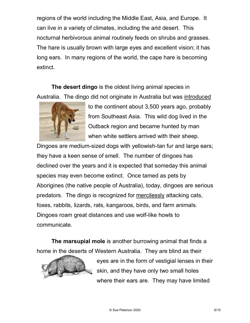 Reading on the cape hare, desert dingo and marsupial mole, with photo and sketch: origins, diet, predators and blindness