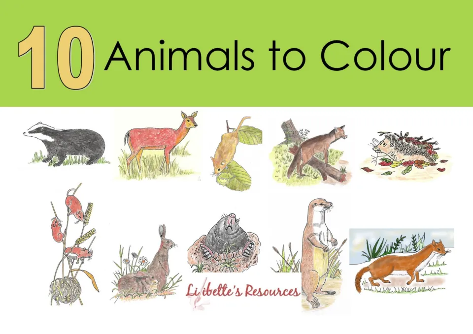 10 Animals to Colour cover: colored drawings of a badger, deer, fox, hedgehog, mole, otter, rabbits and more