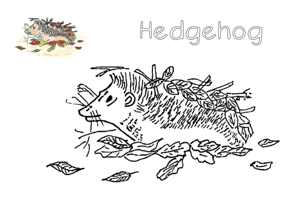 Hedgehog coloring page: students color a hedgehog carrying leaves on its spines, with autumn leaves scattered around it