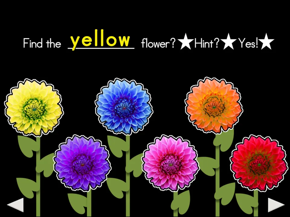 Second color-matching prompt: 'Find the yellow flower?' with six flower choices and 'Hint?' and 'Yes!' labels