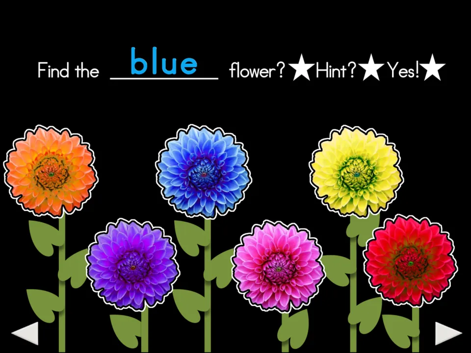 Third color-matching prompt: 'Find the blue flower?' with six flower choices and 'Hint?' and 'Yes!' labels
