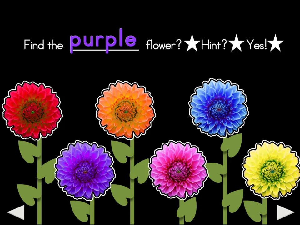 Fourth color-matching prompt: 'Find the purple flower?' with six flower choices and 'Hint?' and 'Yes!' labels