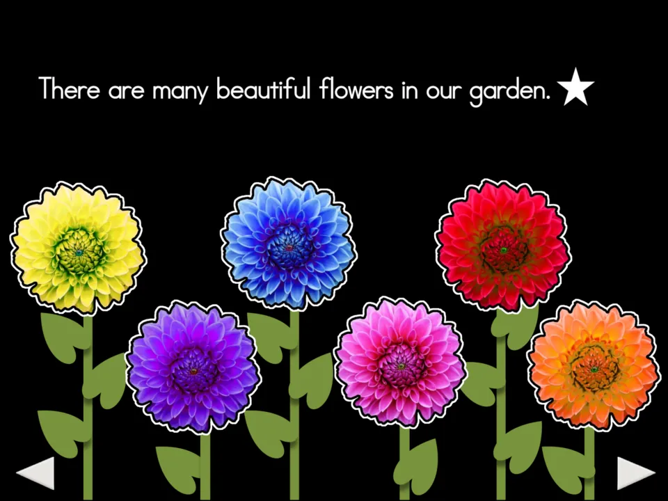 Garden summary slide shows six colored flowers and the sentence 'There are many beautiful flowers in our garden.'