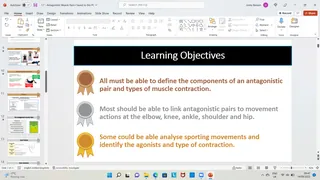 Antagonistic Muscle Pairs – cover