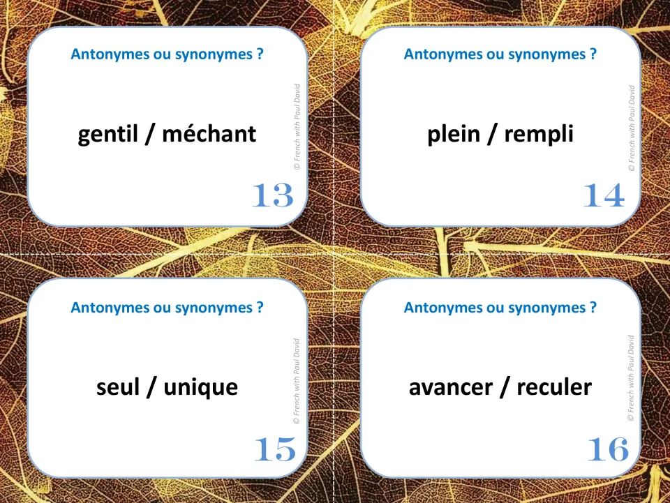 Word-meaning cards 13-16: students sort gentil/méchant, plein/rempli, seul/unique, avancer/reculer as same or opposite