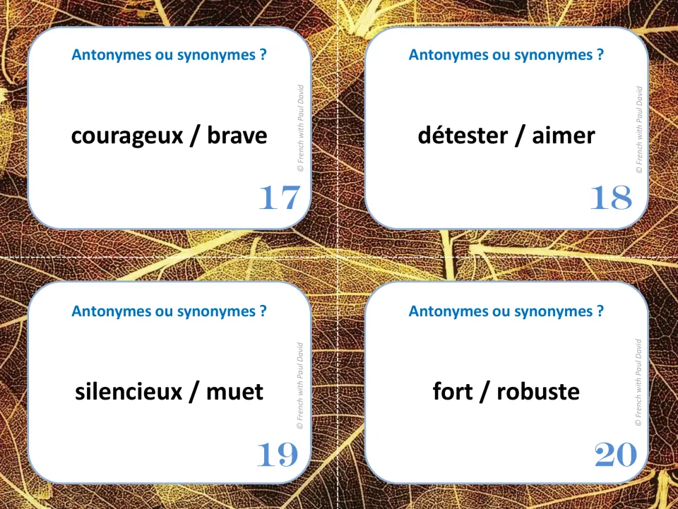 Synonym-antonym cards 17-20: students judge courageux/brave, détester/aimer, silencieux/muet and fort/robuste