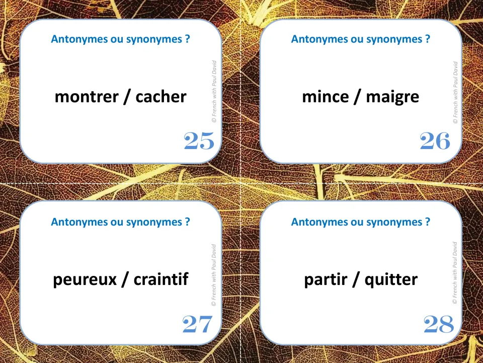 Final task cards 25-28: students decide whether montrer/cacher, mince/maigre, peureux/craintif and partir/quitter match