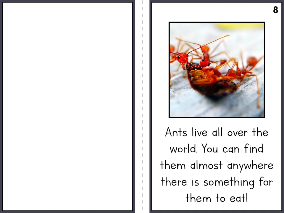 Ant reader page 8 explains that ants live around the world wherever they can find food, beside a blank panel