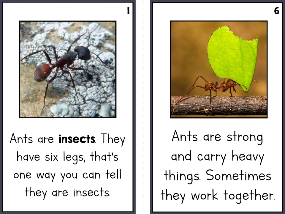 Ant reader pages 1 and 6 explain that ants are six-legged insects and carry heavy things, sometimes together