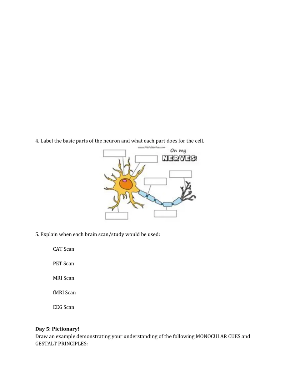 Day 4 review asks students to label a neuron and explain five brain studies before introducing Day 5 drawing tasks.