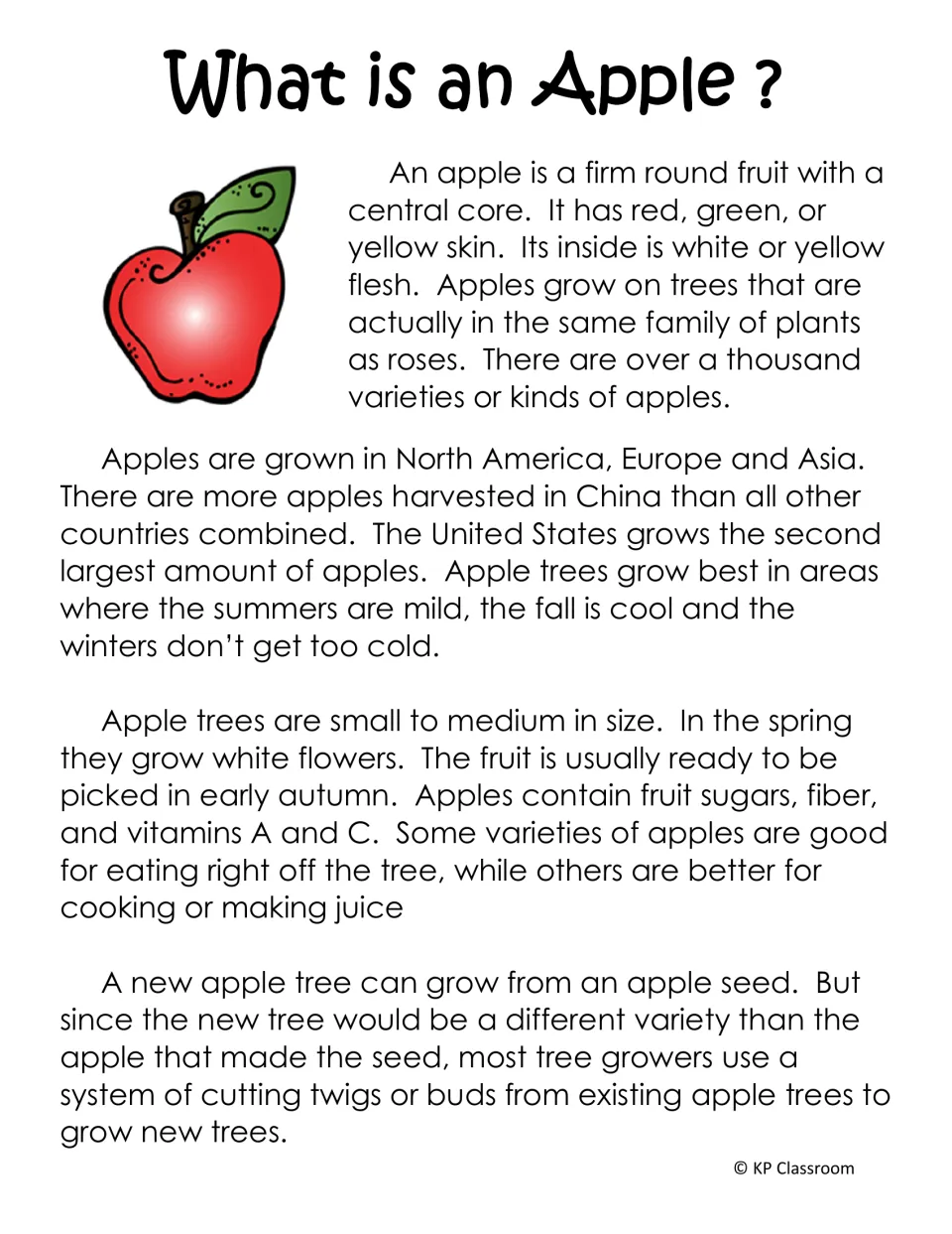 What is an Apple? shorter reading passage on apple skin colors, where apples grow, blossoms, harvest time and new trees