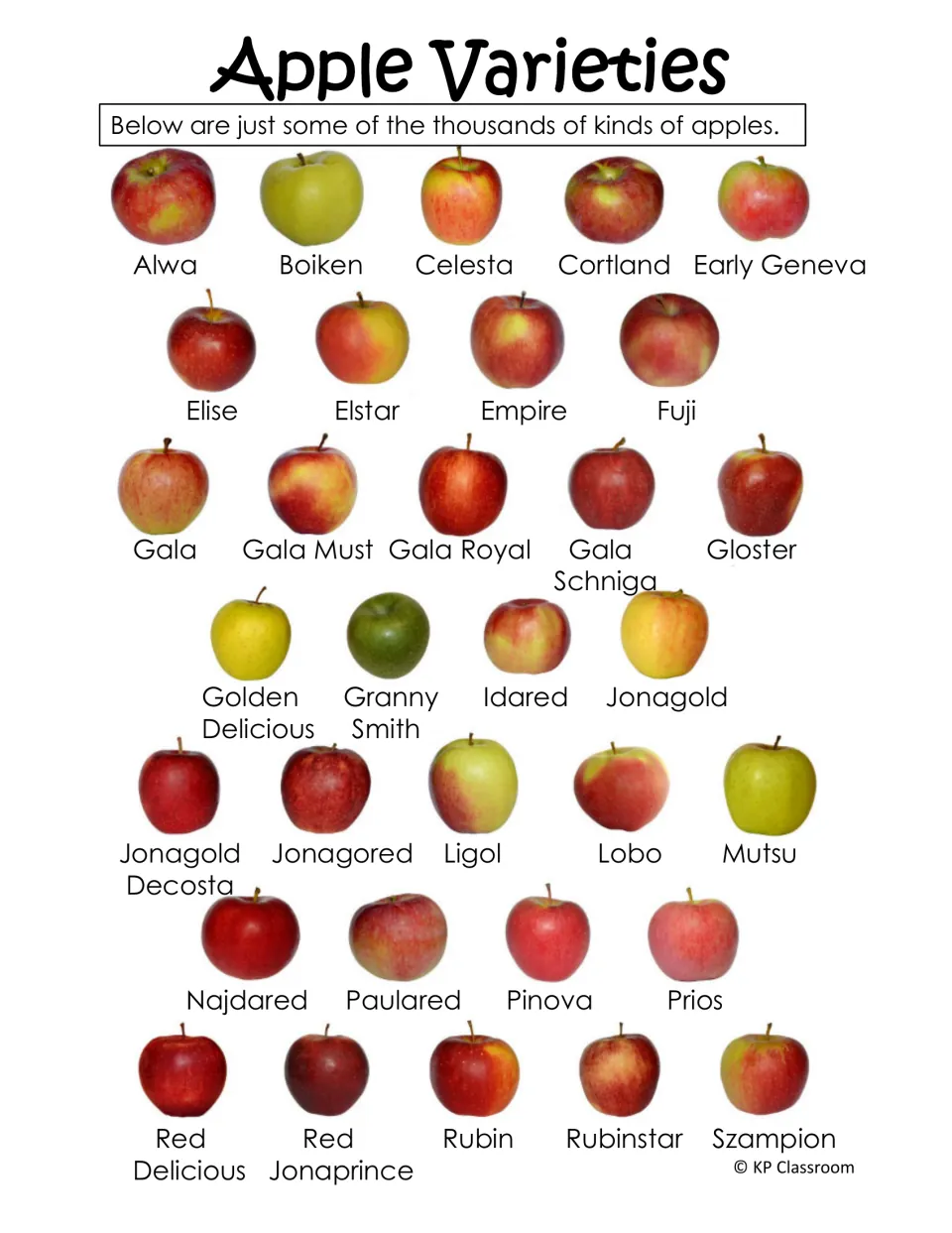 Apple varieties: labeled photos of 32 kinds of apples, including Fuji, Gala, Granny Smith, Golden and Red Delicious