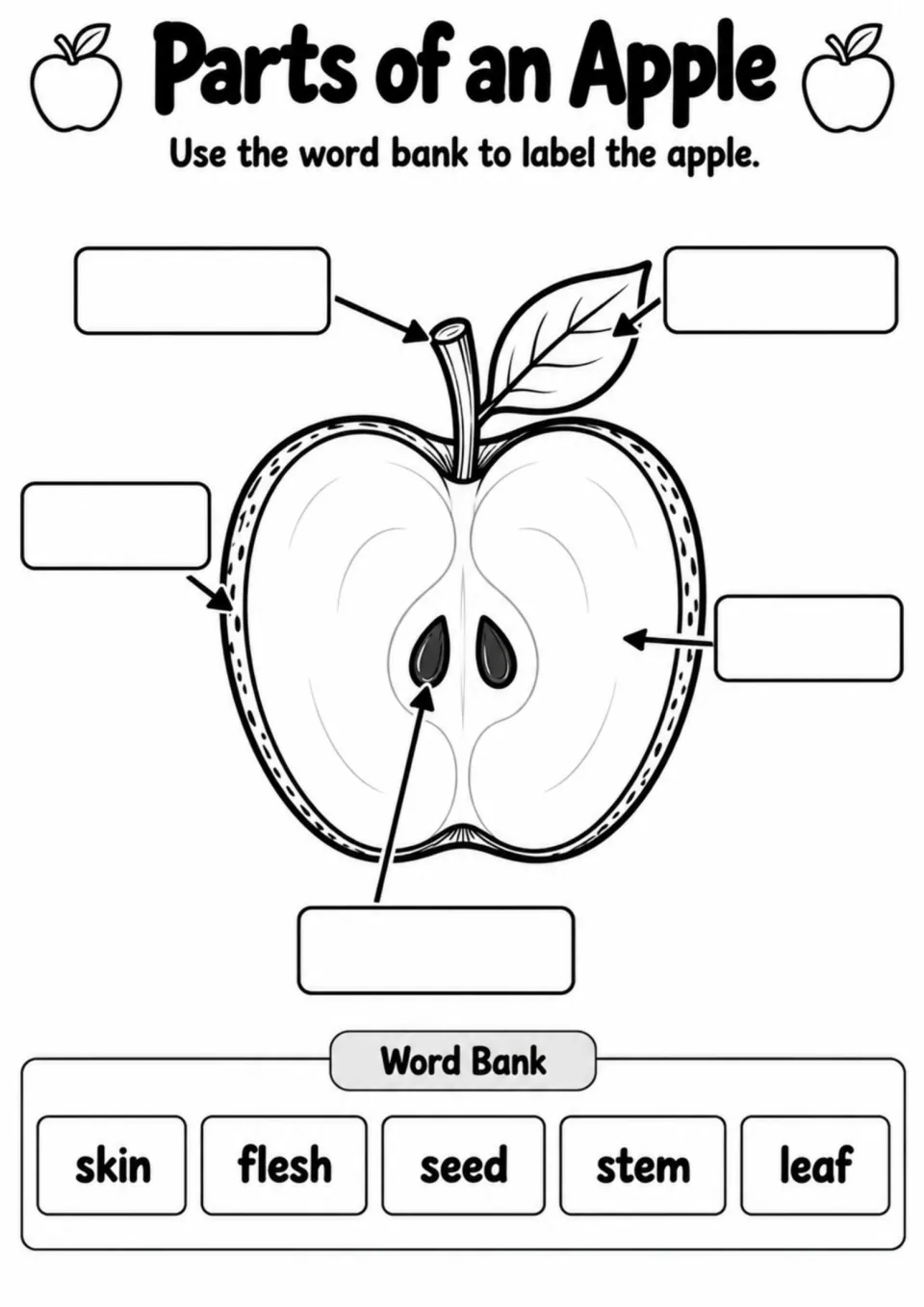 Parts of an Apple labeling activity uses a cutaway diagram and the word bank skin, flesh, seed, stem, and leaf