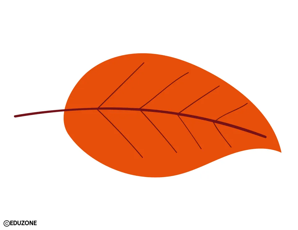 Autumn leaf cut-out: one large orange leaf with dark red veins and a long stem, used to add fall color to the display