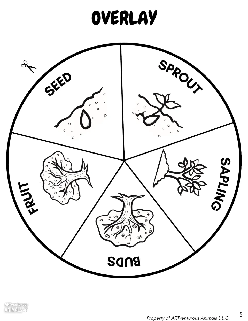Overlay circle to color and cut: five wedges labeled seed, sprout, sapling, buds and fruit, each with a stage drawing