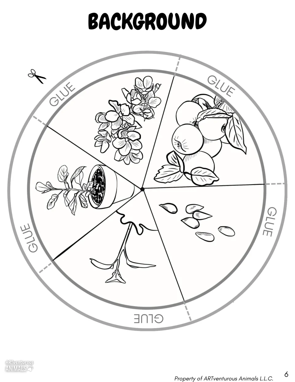 Black-and-white background circle to color, with drawings of seeds, a sprout, potted sapling, blossoms and apples