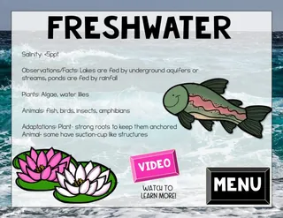 Aquatic Biomes Activity – Google Classroom Lesson – sample page 2