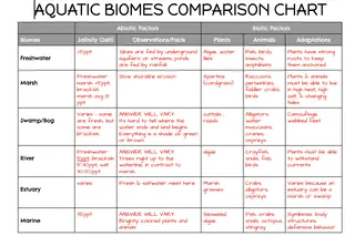 Aquatic Biomes Activity – Google Classroom Lesson – sample page 3