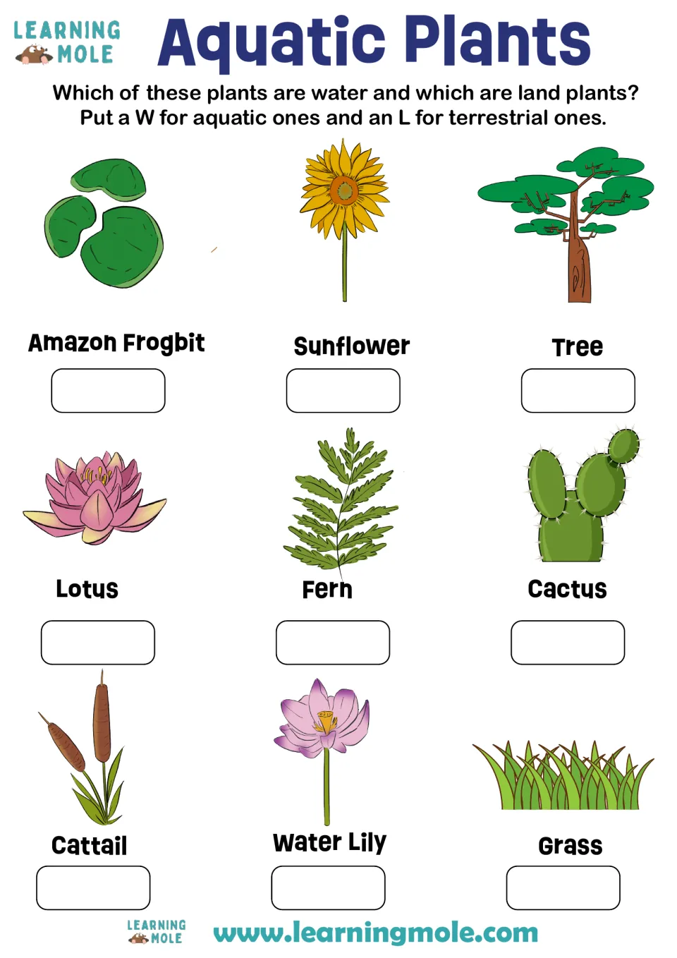 Aquatic vs land plants sort: students mark W or L for 9 pictured plants, including lotus, cattail, cactus and sunflower