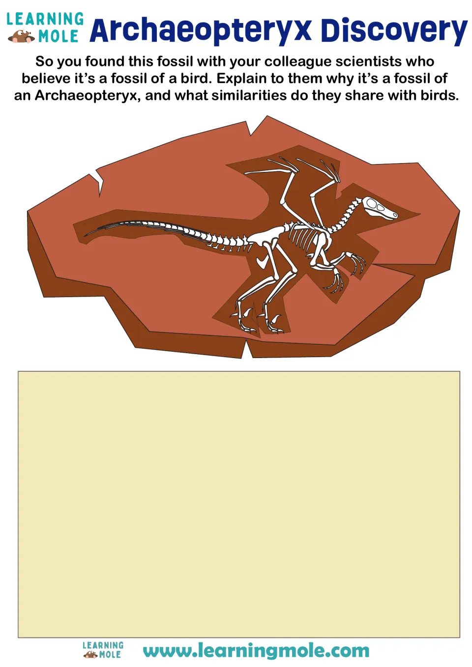 Archaeopteryx fossil drawing: students explain why the skeleton is an Archaeopteryx and which traits it shares with birds