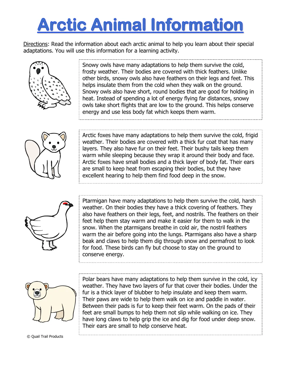 Arctic Animal Information: students read how the snowy owl, arctic fox, ptarmigan and polar bear stay warm and find food