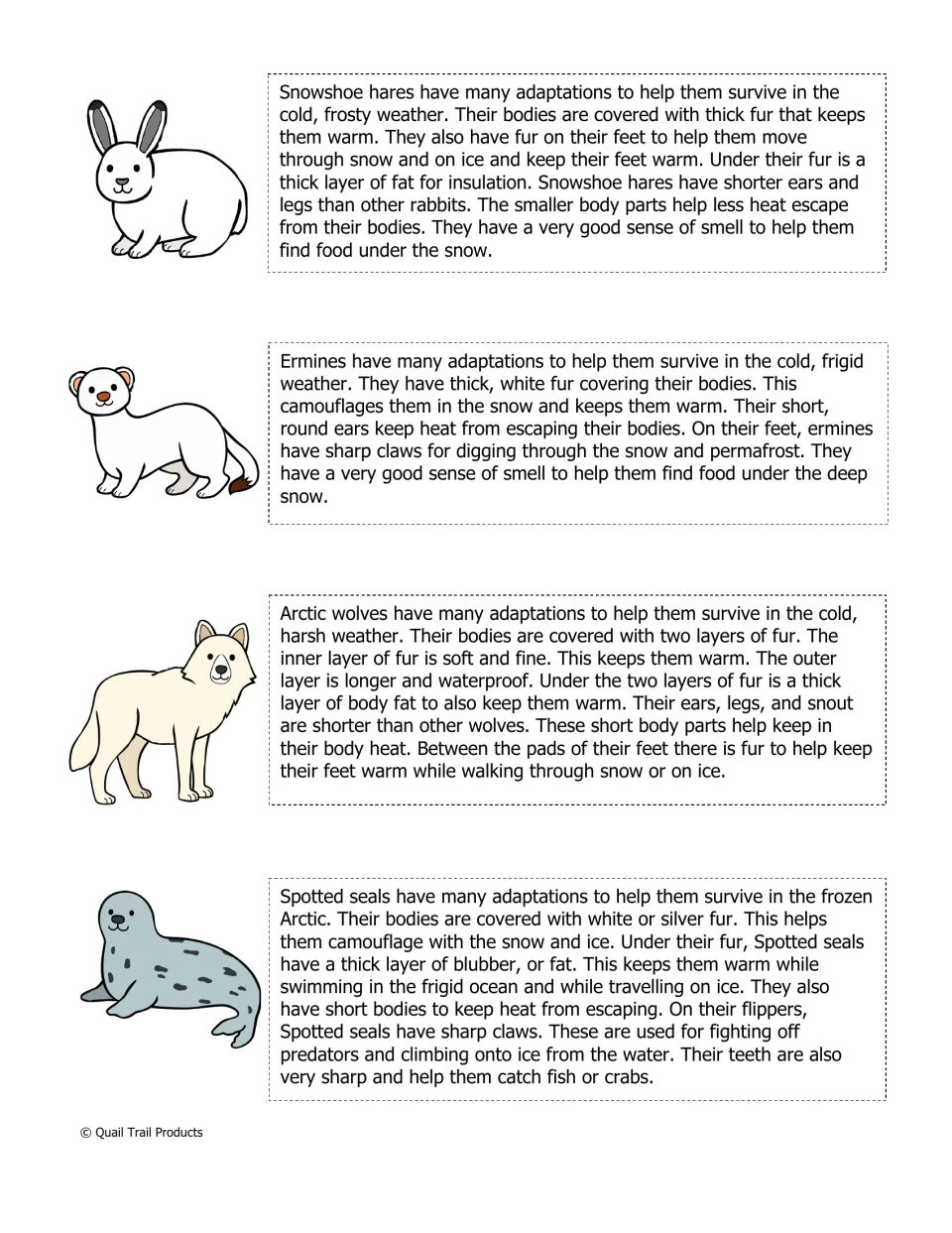 Arctic animal readings: how the snowshoe hare, ermine, arctic wolf and spotted seal use fur, blubber and claws