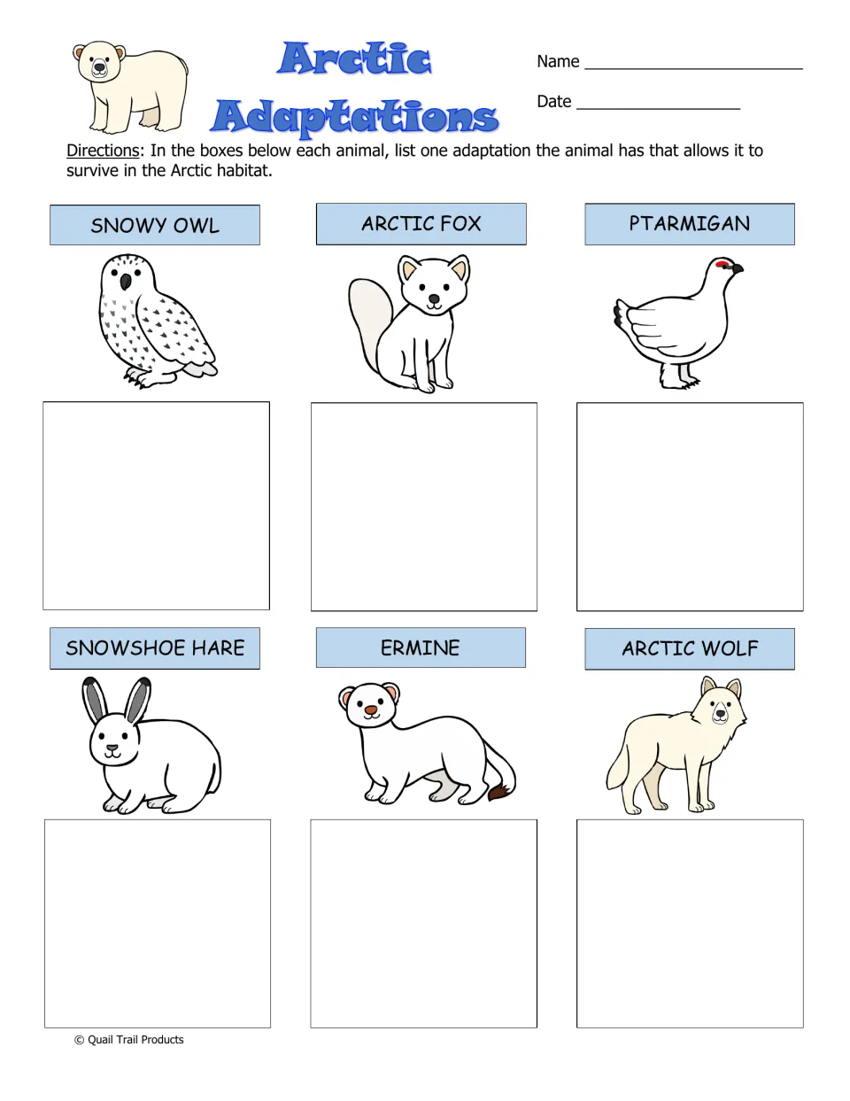 Arctic Adaptations: students write one adaptation each for the snowy owl, arctic fox, ptarmigan, hare, ermine and wolf