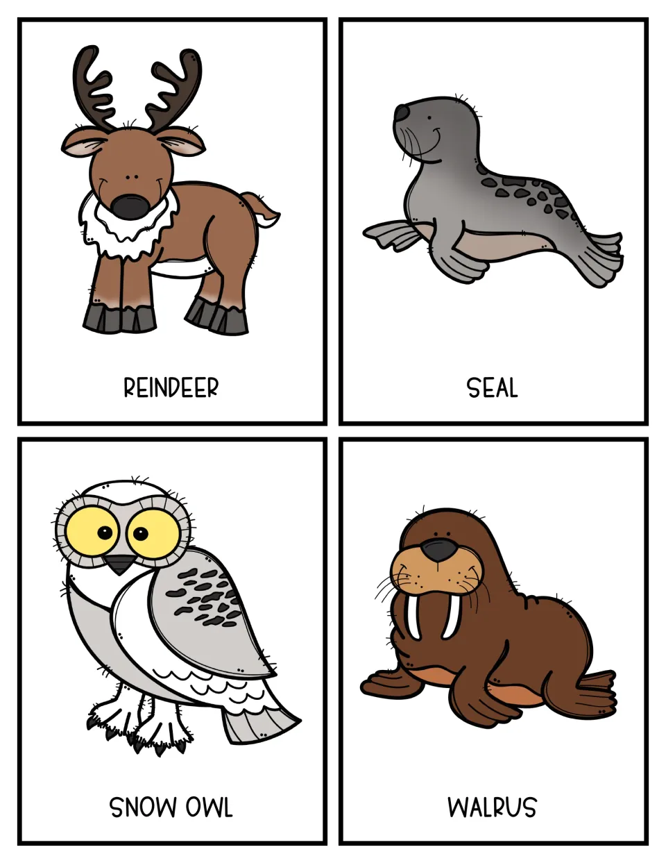 Color topic cards featuring a reindeer, a seal, a snow owl and a walrus for students to select as research subjects