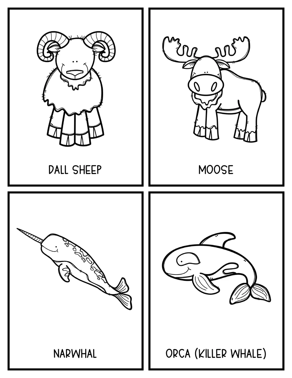 Black-and-white line-art cards of a Dall sheep, moose, narwhal and orca (killer whale) for students to choose and study