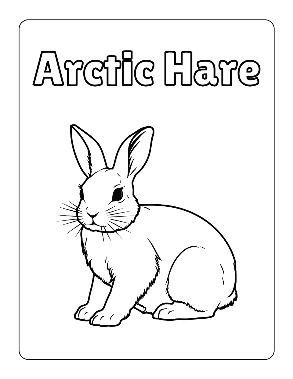 Arctic hare to color: a crouching hare with long ears and whiskers, labeled Arctic Hare in outline lettering