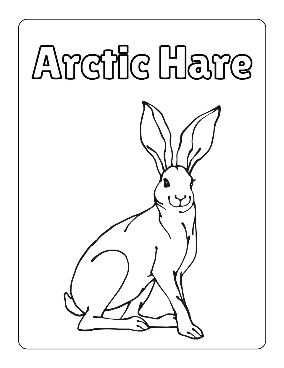 Arctic Hare page: students color a hare sitting tall with long upright ears and a short tail
