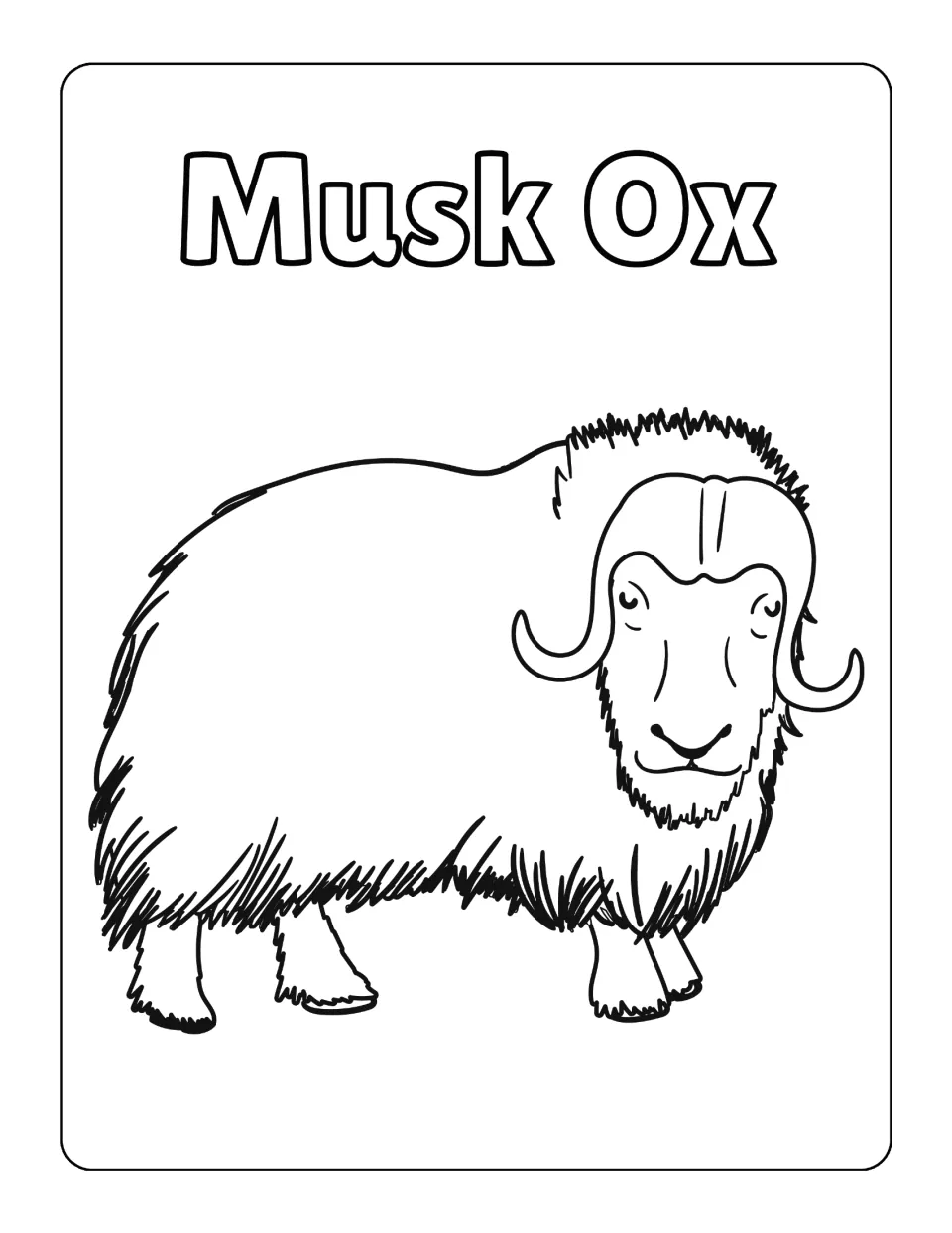Musk ox coloring sheet: students color a shaggy musk ox with long fur and curved horns, drawn in a sketchy style