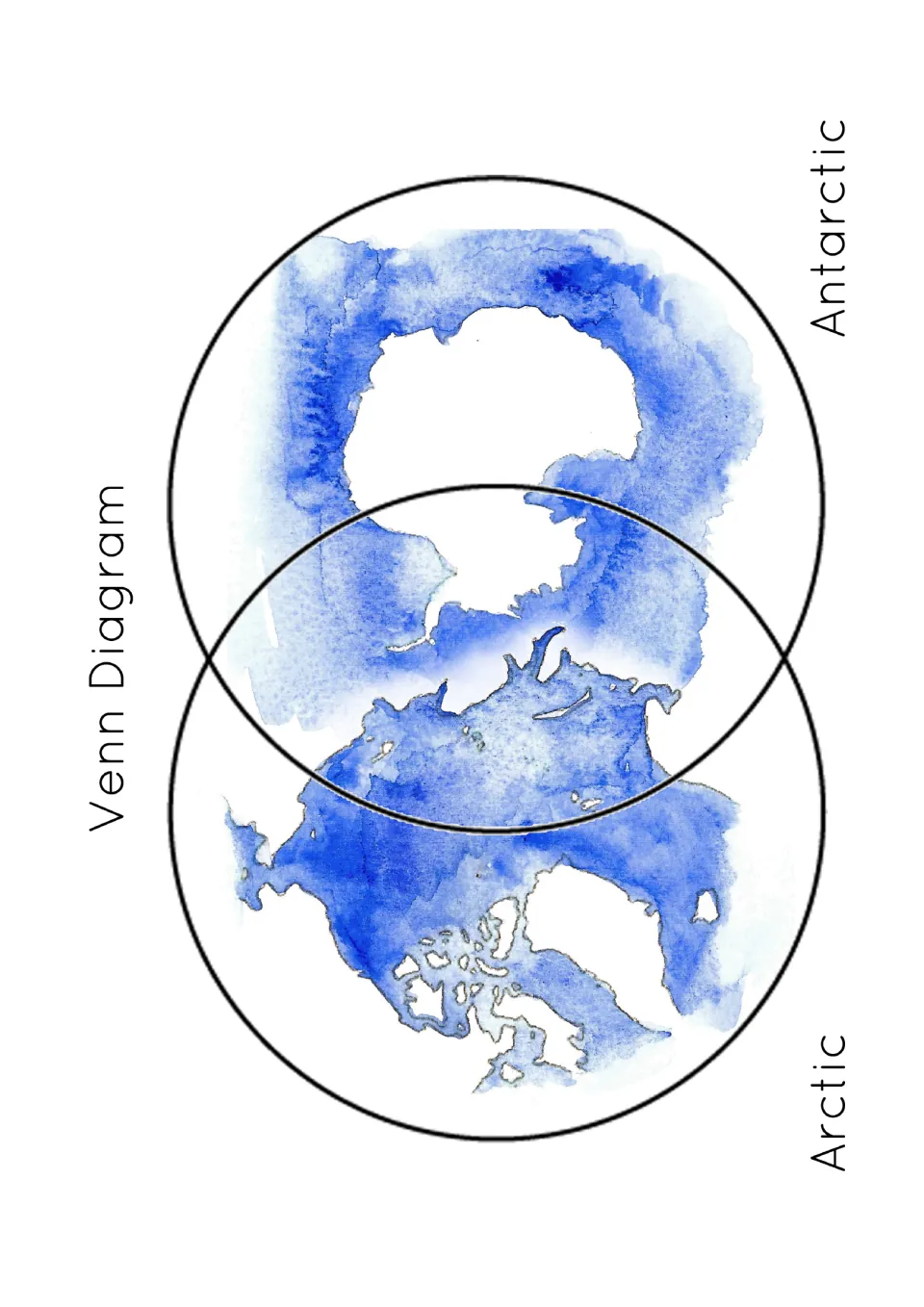 Arctic and Antarctic Venn diagram sorting mat with polar maps for placing animal discs by region.