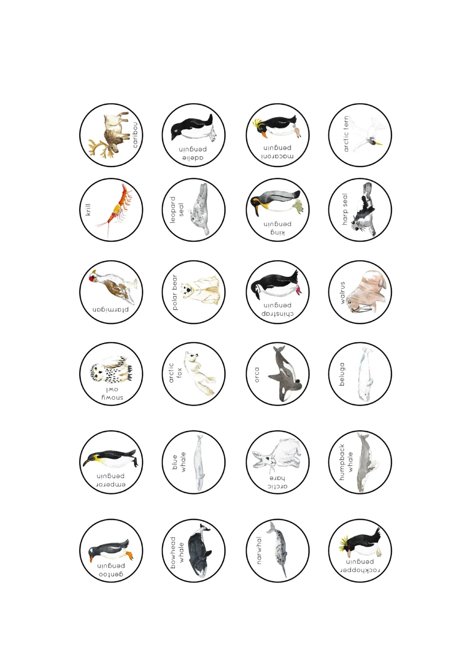 Animal sorting discs: polar bear, arctic fox, walrus, seven penguin species, and 14 more labeled animals.