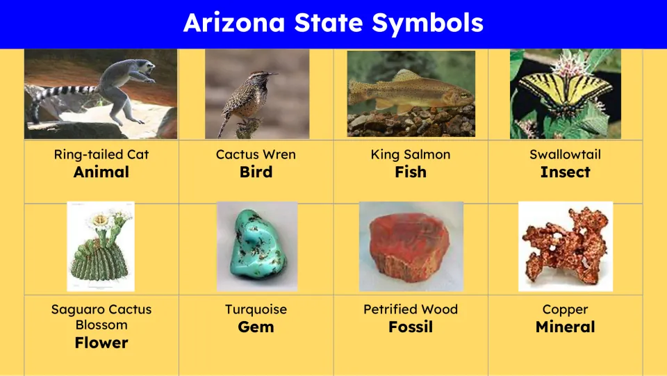 State symbols slide labeling ring-tailed cat, cactus wren, king salmon, swallowtail, and four more symbols