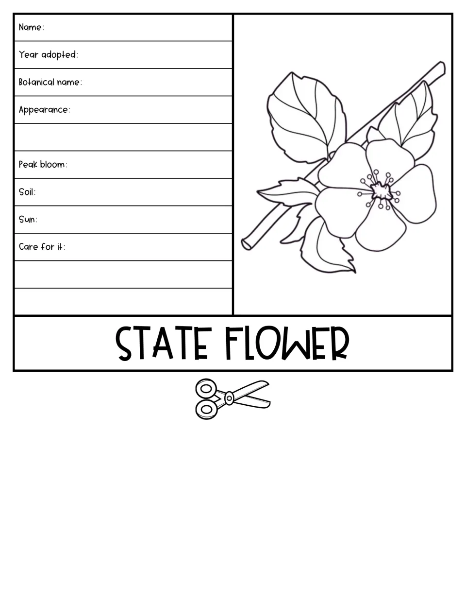 State flower flap with a blossom drawing; students record name, botanical name, peak bloom, soil, sun and plant care