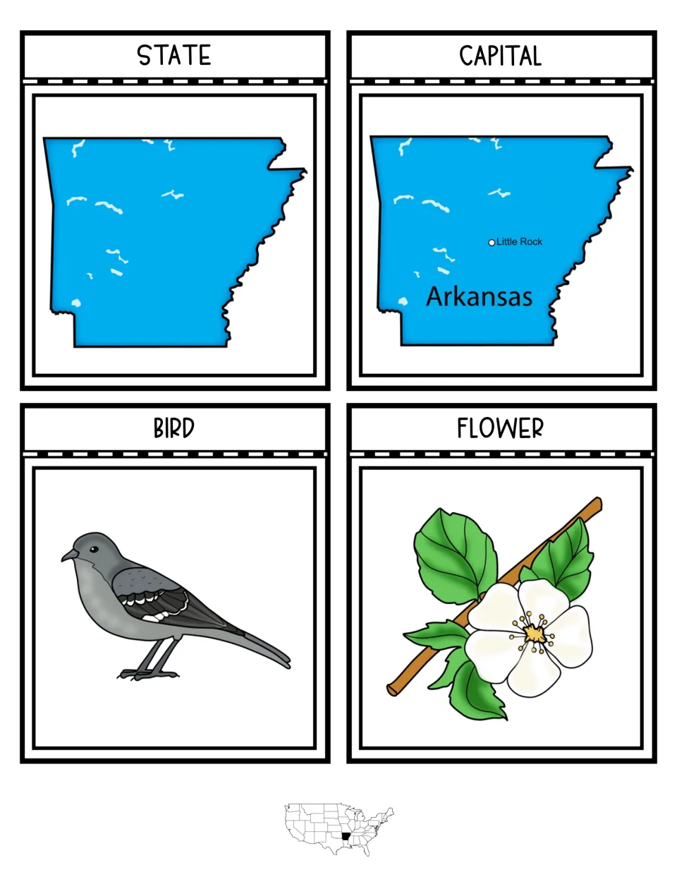 Notebook flaps for state, capital, bird and flower: Arkansas outline, Little Rock marked, mockingbird and apple blossom