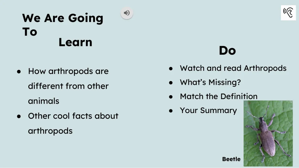Learning goals slide about how arthropods differ from other animals, followed by reading and response tasks