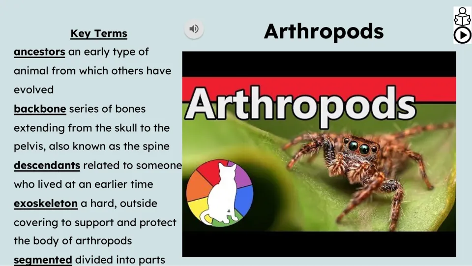 Video lesson slide defining ancestors, backbone, descendants, exoskeleton, and segmented as key terms