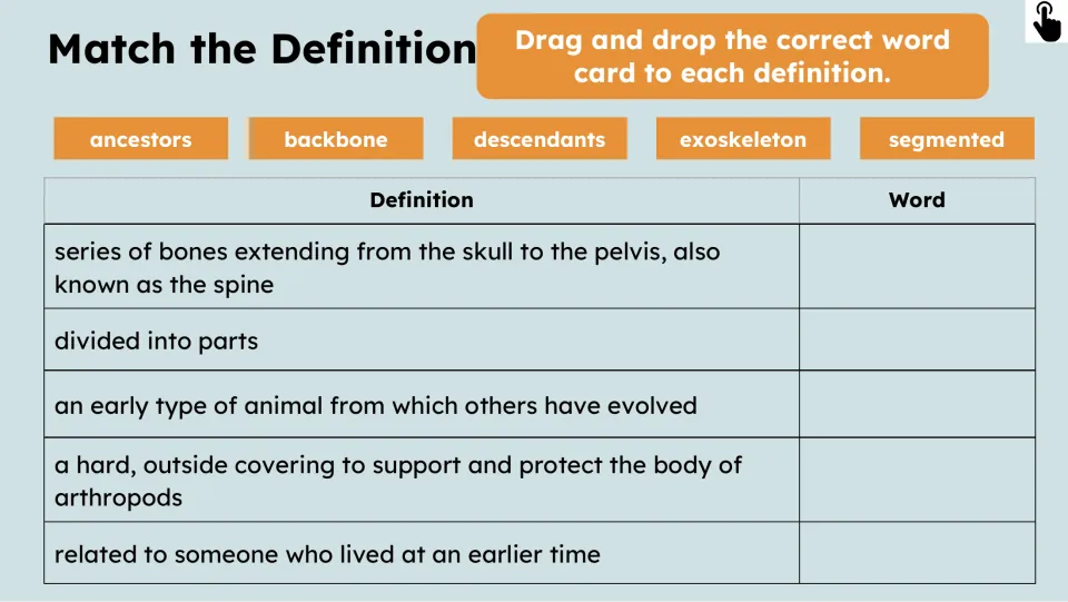 Definition-matching activity for ancestors, backbone, descendants, exoskeleton, and segmented word cards