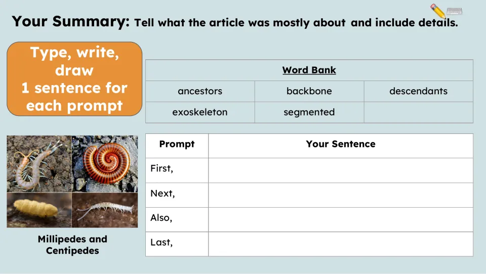 Summary activity requesting one sentence each for First, Next, Also, and Last, with a five-term word bank