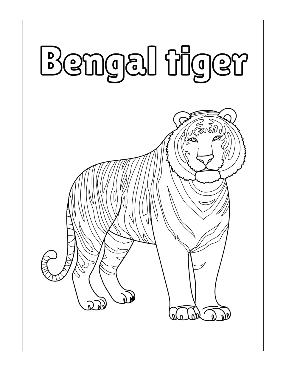 Bengal tiger coloring page: students color a standing striped tiger drawn in outline under the bubble-letter name