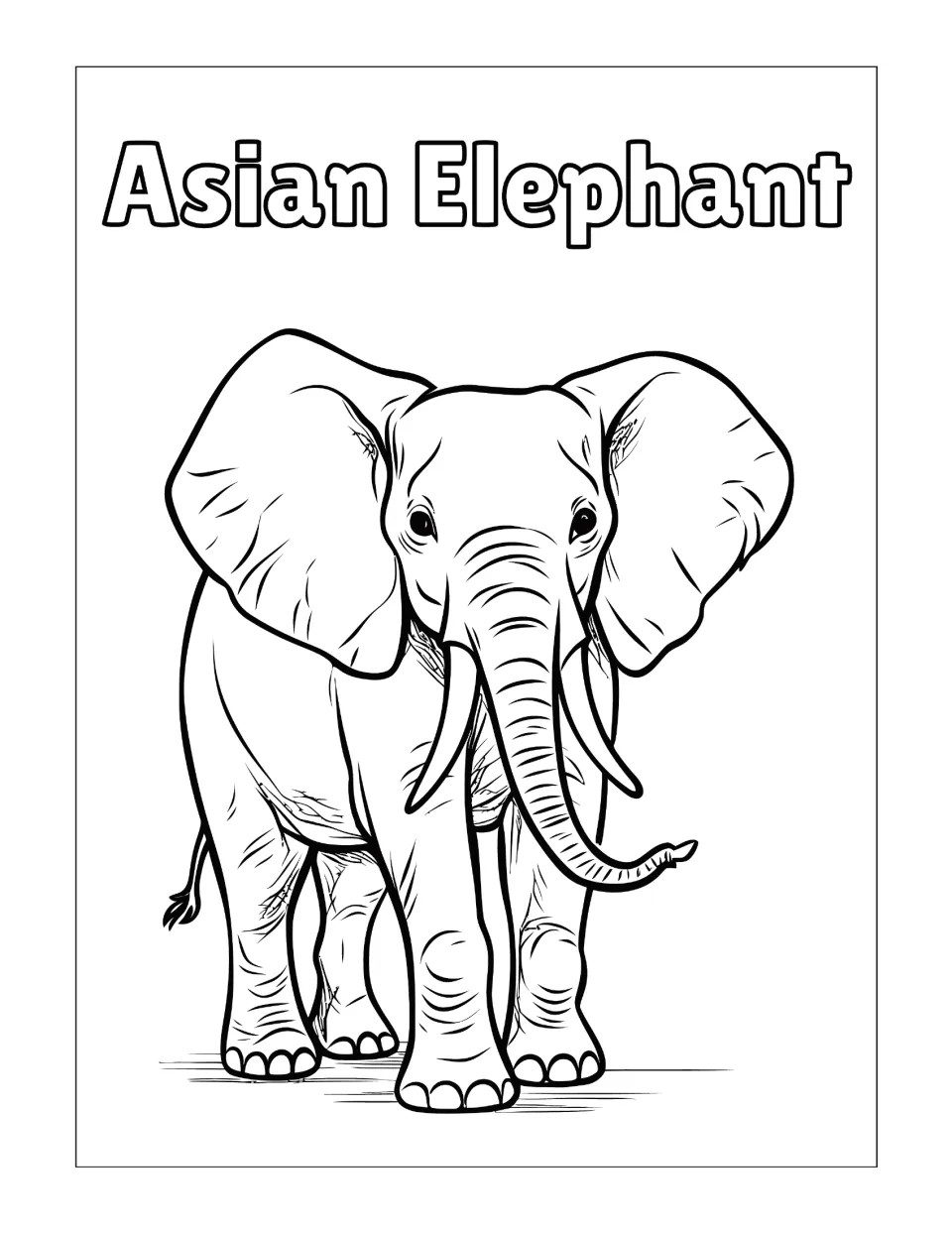 Asian elephant coloring page: students color a realistic tusked elephant walking forward, with the name in bubble letters
