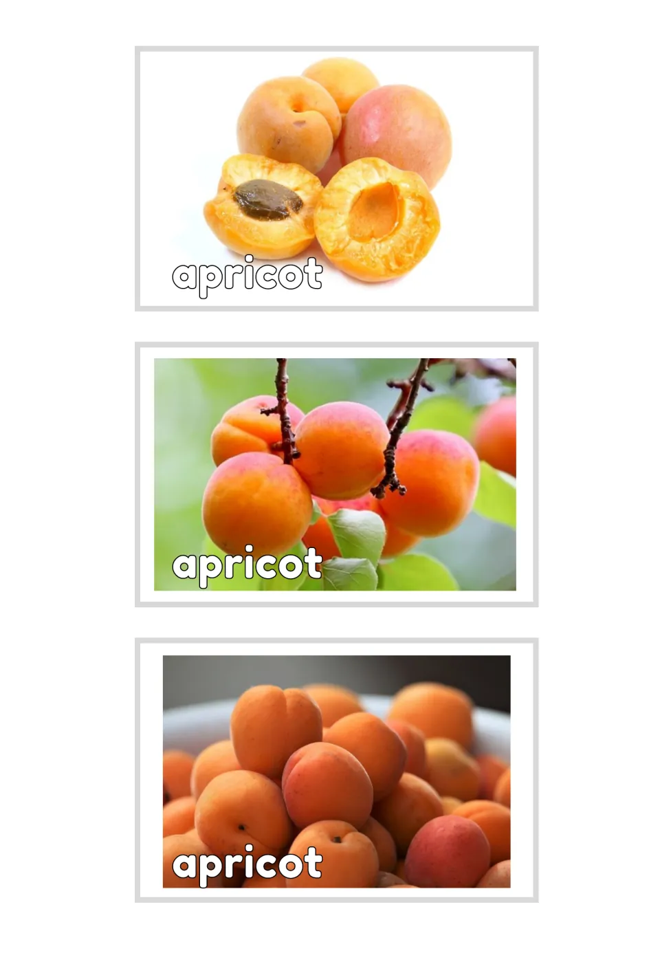 Three vocabulary photo cards labeled 'apricot' show whole and halved fruit, fruit on branches, and a pile