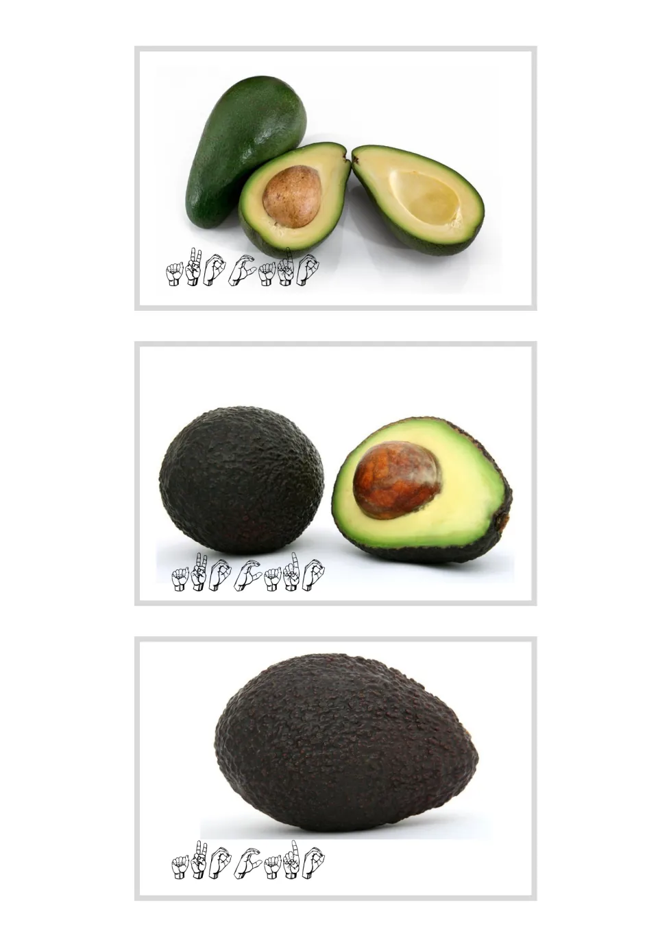 Three avocado vocabulary photo cards with ASL fingerspelling show whole fruit and halves with exposed pits