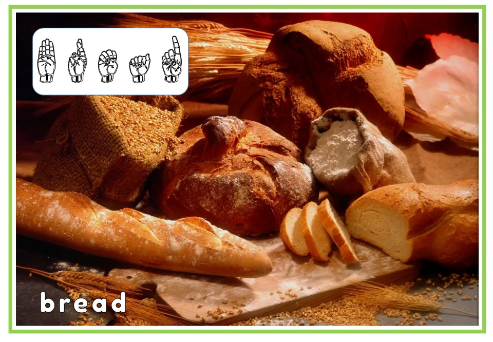 Bread card with the ASL fingerspelled letters B-R-E-A-D at the top and the printed word bread at the bottom