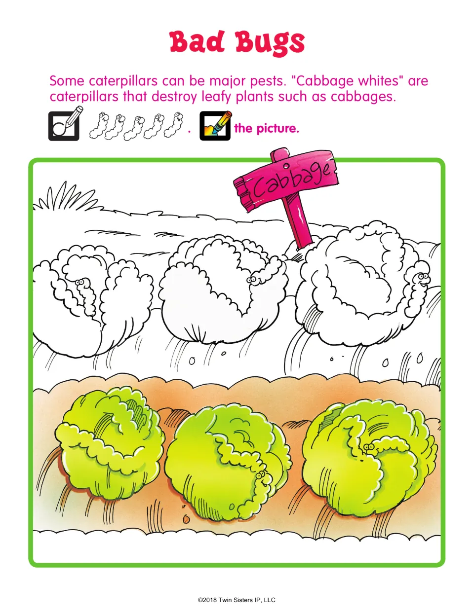 Bad Bugs hidden picture: students find caterpillars hiding in a cabbage patch, circle them, then color the scene