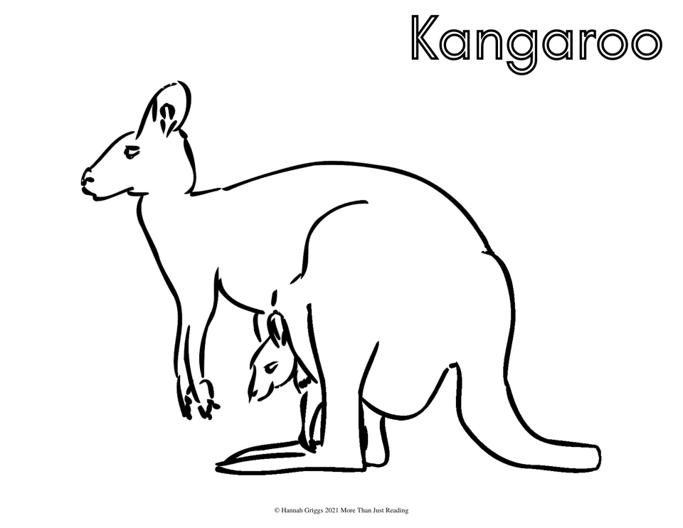 Kangaroo coloring page: students color a side-view kangaroo with a joey peeking from its pouch, labeled Kangaroo